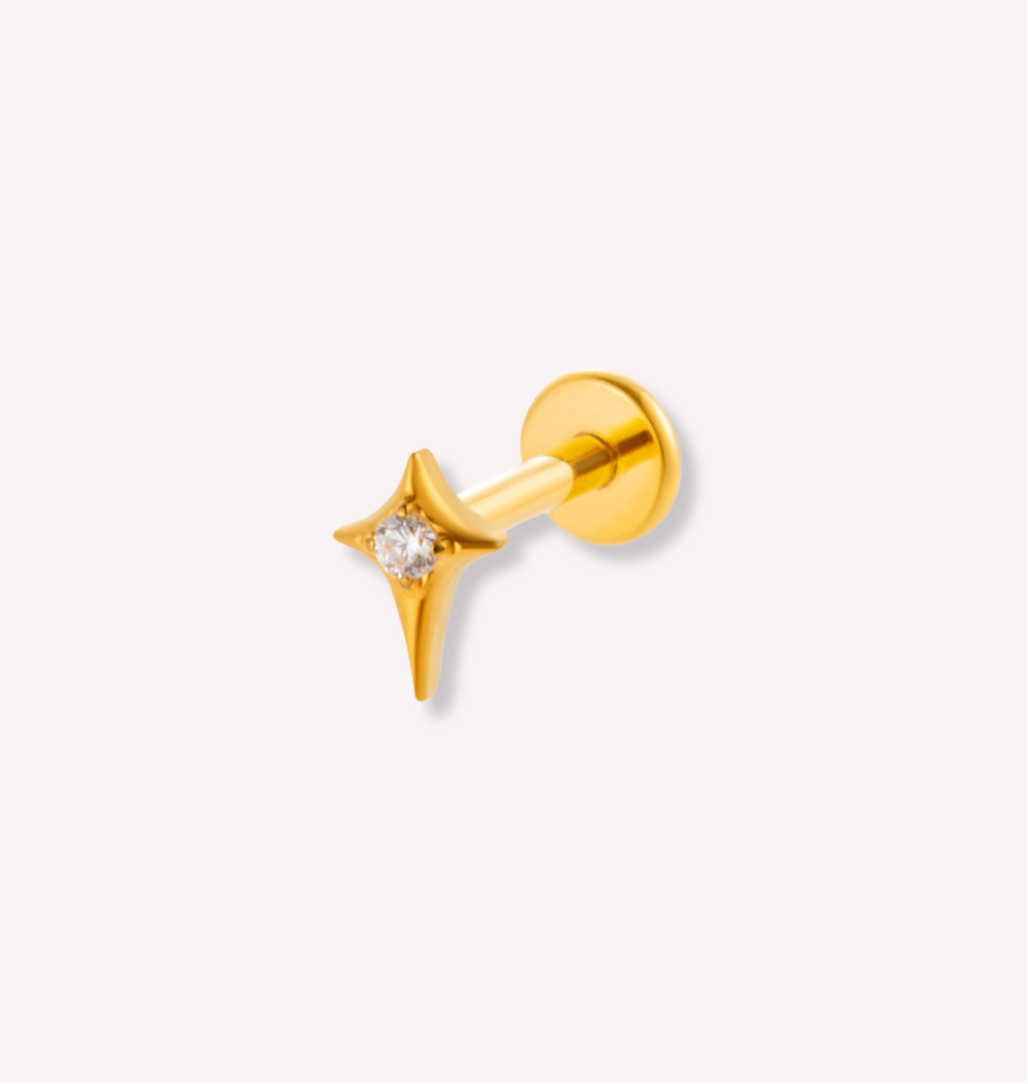 Piercing Shiny ✨