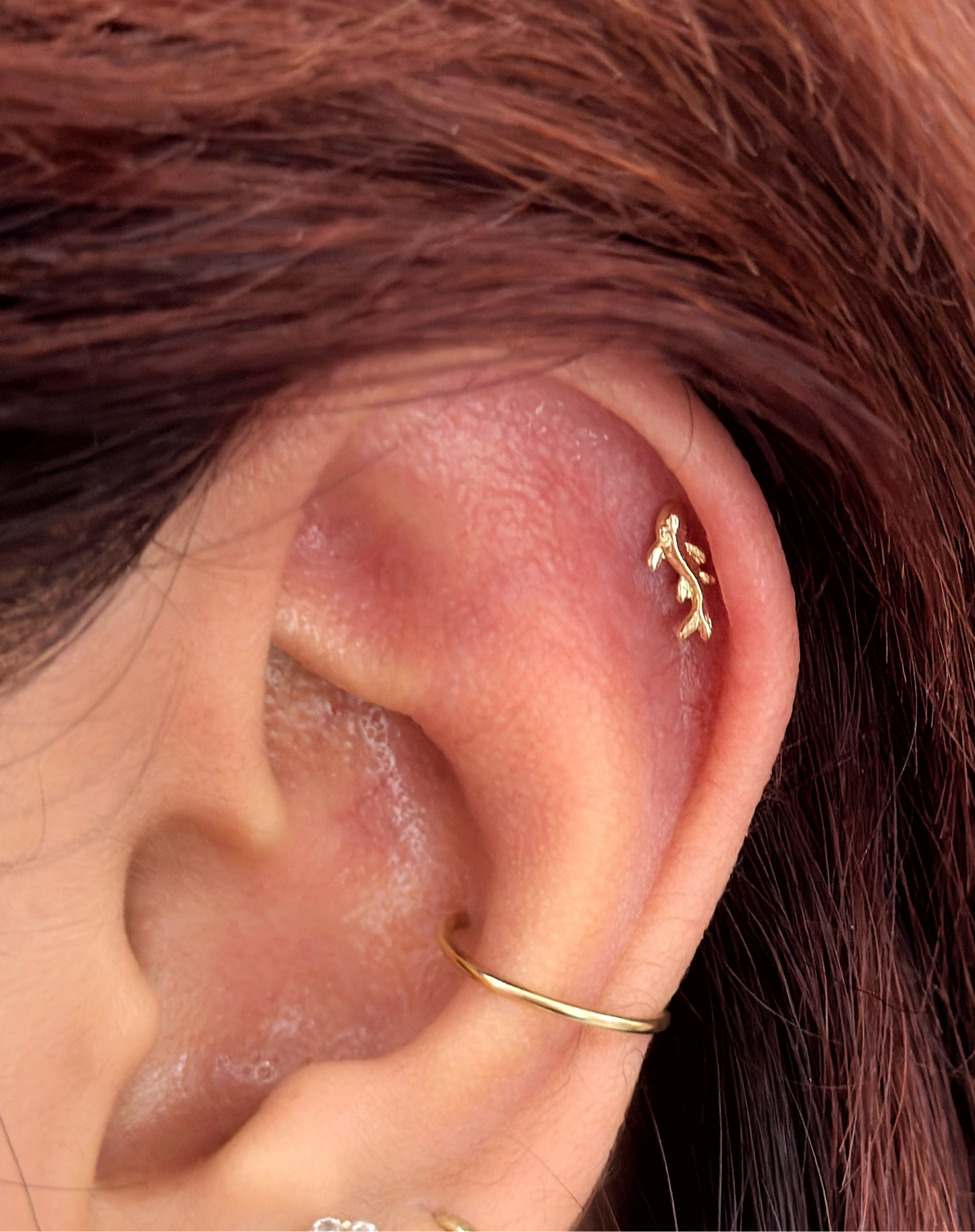 Piercing Pez Koi ✨