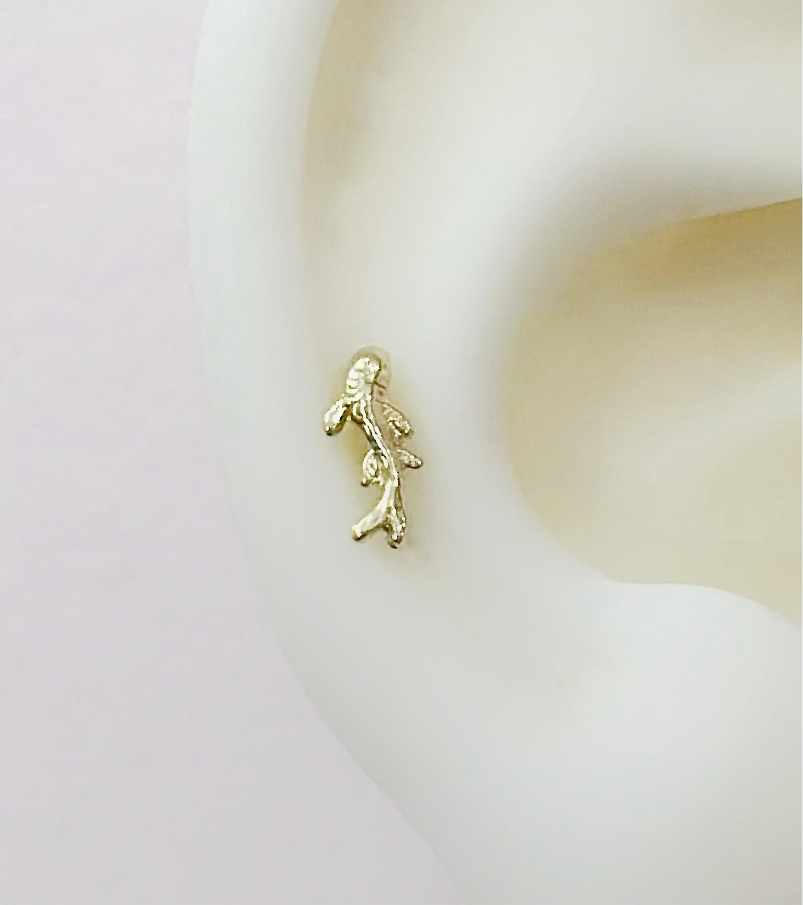 Piercing Pez Koi ✨