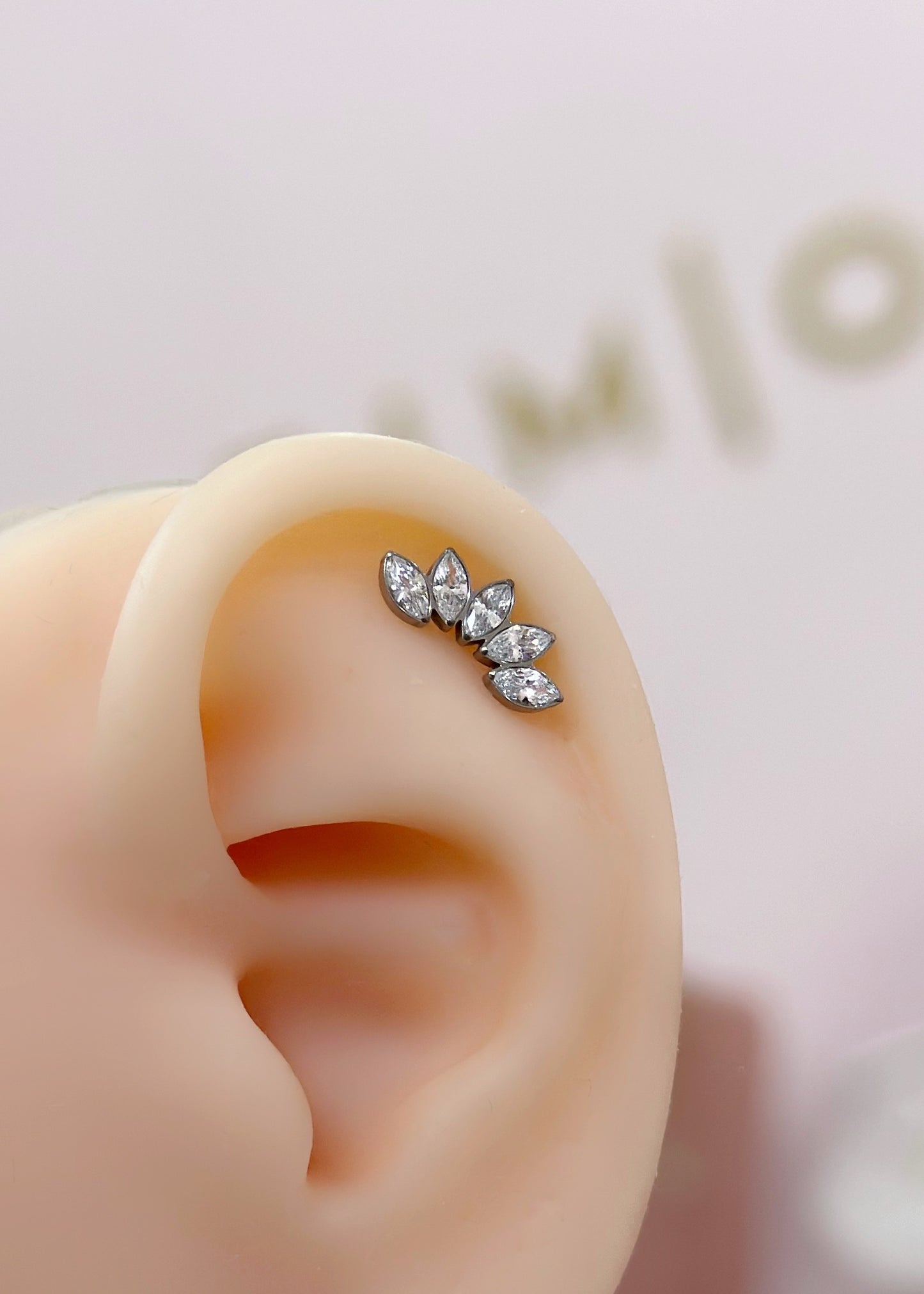 Piercing Corona titanio