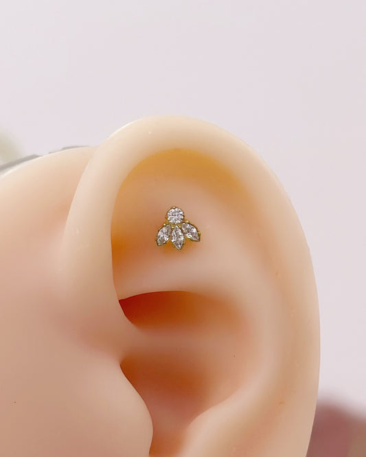 Piercing Titanio Abeja
