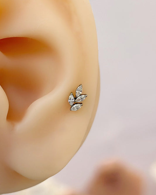 Piercing Titanio Rama