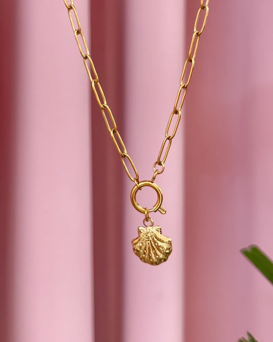 Collar Marina