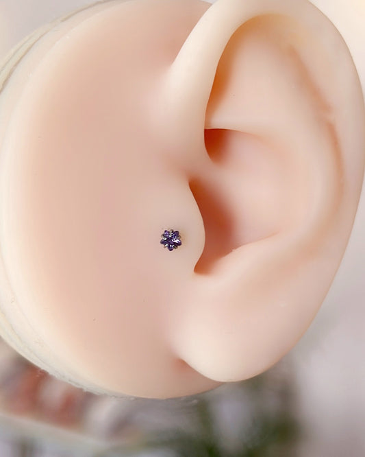 Piercing Estrella Lila