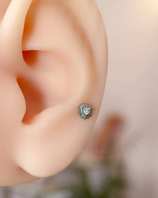 Piercing Holly